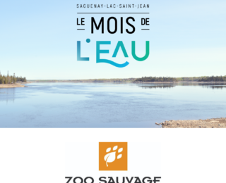 Découvrez les tortues du Québec et la rivière-aux-Saumons