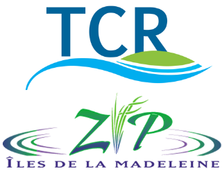 4-à-7 de nettoyage du littoral avec l’équipe du Comité ZIP et de la TCR!