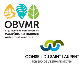 Ruissellement et gestion durable des eaux pluviales (GDEP): la ville de Rivière-du-Loup et des municipalités de La Matapédia passent à l’action